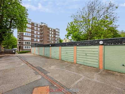Picture 11